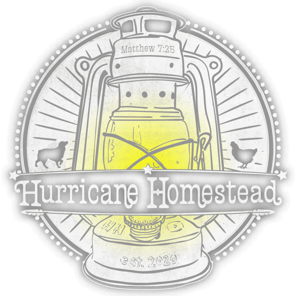 Hurricane Homestead Logo