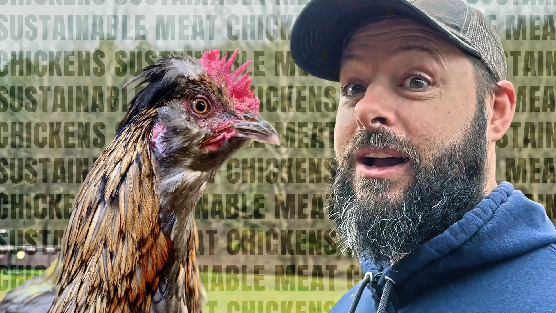 Raising Sustainable Meat Chickens